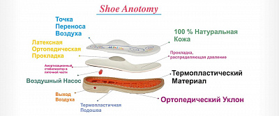 ортостелька
